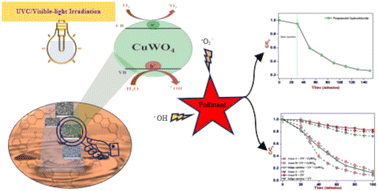 Graphical abstract: Copper tungstate-assisted photocatalytic degradation of industrial products (dyes and pharmaceuticals) in water