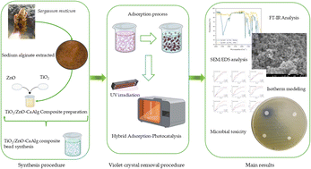 Graphical abstract: Enhanced environmental remediation through hybrid adsorption-photocatalysis using ZnO/TiO2-CaAlg composite catalysts