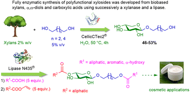 Graphical abstract: Multi-step biocatalytic strategy to produce a library of original xylosides with various ester functions for cosmetic applications