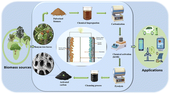 Graphical abstract: Thermochemically activated Ficus benghalensis leaf-derived porous activated carbon for sustainable supercapacitor electrodes