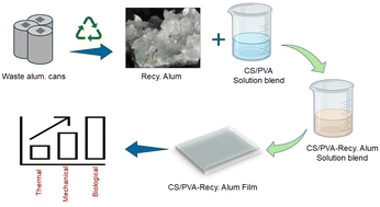 Graphical abstract: Eco-sustainable chitosan–PVA biocomposites reinforced with recycled alum: preparation, characterization, and antimicrobial assessment