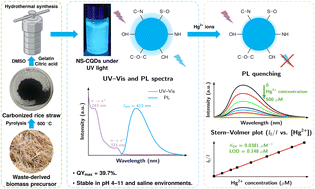 Graphical abstract: Hydrothermal synthesis of nitrogen- and sulfur-co-doped carbon quantum dots from rice straw for fluorescent detection of Hg2+ in aqueous media