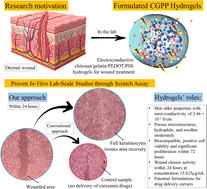 Graphical abstract: Synthesis and characterization of electroactive chitosan/gelatin/PEDOT:PSS hydrogels with mixed ionic–electronic conductivity for potential wound healing applications