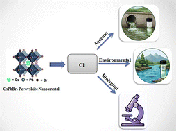 Graphical abstract: Next-generation CsPbBr3 perovskite nanocrystal chloride sensors: stability engineering and halide-exchange mechanisms in aqueous, biological, and environmental media