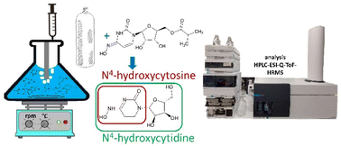 Graphical abstract: On the ozonation of anti-SARS-CoV-2 substances and their nucleoside analogues for mechanistic understanding of the ozone induced transformation using HPLC-ESI-Q-TOF-HRMS