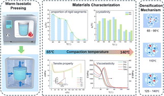 Graphical abstract: Temperature-mediated microstructure evolution and densification mechanism of F2314 fluoropolymer binder during warm isostatic pressing