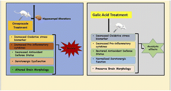 Graphical abstract: Antioxidant and neuromodulatory effect of gallic acid prevents anxiety-like symptoms of omeprazole