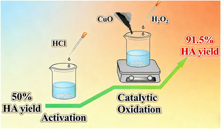 Graphical abstract: Boosting the extraction of humic acid from HCl-activated weathered coal catalyzed by oxygen vacancy-rich CuO nanoparticles