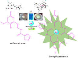 Graphical abstract: A furano–ortho–vanillin conjugate for fluorogenic ratiometric and selective Zn2+ sensing: theoretical insights and biological studies