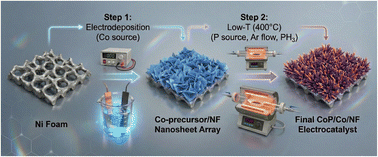 Graphical abstract: CoP-nanorod-doped Co heterostructured electrode for efficient electrocatalytic hydrogen evolution reaction