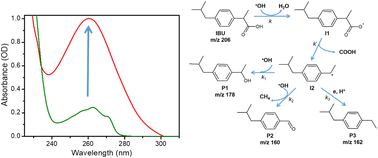 Graphical abstract: Photocatalytic degradation of ibuprofen on titanium oxide nanoparticles: insights into degradation kinetics, mechanisms, thermodynamics, pathways, and toxicity