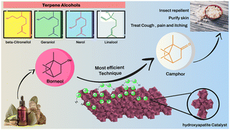 Graphical abstract: W/HAP catalyzed terpenic alcohols oxidation: kinetic studies