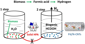Graphical abstract: Can the direct conversion of biomass-derived formic acid be efficient for hydrogen generation?