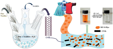 Graphical abstract: Himalayan forest waste to carbon nanotubes: a green approach using NADES template for reactive orange 16 dye adsorption