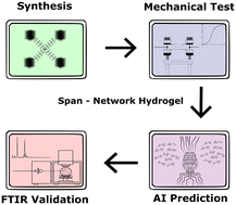 Graphical abstract: Unraveling the molecular magic: AI explains the formation of the most stretchable hydrogel