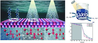 Graphical abstract: Oxygen-vacancy-engineered BiO2−x/Bi2O3 heterojunctions for synergistic photo-tribocatalytic degradation and broad-spectrum antibacterial performance