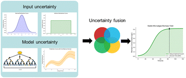Graphical abstract: Robust optimization of microalgae cultivation using a dual-uncertainty quantified random forest-based EGO framework