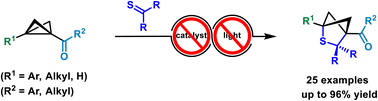 Graphical abstract: (3 + 2)-Cycloaddition of bicyclobutanes and thioketones: access to 2-thiabicyclo[2.1.1]hexanes without the use of catalysts or light