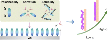 Graphical abstract: Anion-endowed high-dielectric water-deficient interface towards ultrastable Zn metal batteries