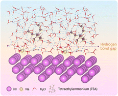 Graphical abstract: Promotion or suppression of hydrogen evolution activity? The competition between sodium cations and quaternary ammonium ions at the metal/water interface