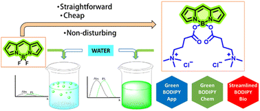 Graphical abstract: Water-soluble BODIPY dyes: a novel approach for their sustainable chemistry and applied photonics