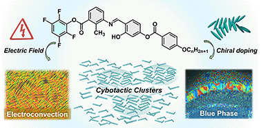 Graphical abstract: Unusual polar ordering and room-temperature blue phase stabilization in tetrafluorinated bent-shaped mesogens