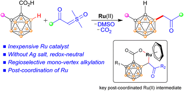 Graphical abstract: Post-coordination of Ru(ii) controlled regioselective B(4)–H acylmethylation of o-carboranes with sulfoxonium ylides