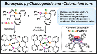 Graphical abstract: Borinine-FLP ring expansion: isolation of eight-membered B–P rings bridged by μ2 chalcogenide and chloronium ions