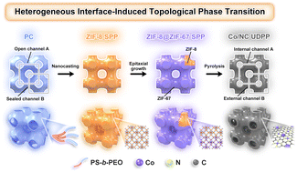 Graphical abstract: Nanoarchitectonics of cobalt/nitrogen-doped carbon with an unbalanced double primitive bicontinuous motif for efficient electrocatalysis