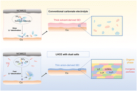 Graphical abstract: Regulating the donor number of solvents for long-cycle anode-free lithium metal batteries