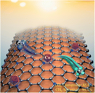 Graphical abstract: Controllable construction of cobalt nanoparticles in nitrogen-doped carbon nanotubes for photothermal CO2 methanation
