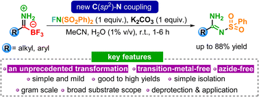 Graphical abstract: Access to amidines via C(sp2)–N coupling of trifluoroborate-iminiums with N-fluorobenzenesulfonimide
