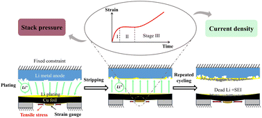 Graphical abstract: Unraveling plating/stripping-induced strain evolution via embedded sensors for predictive failure mitigation in solid-state Li metal batteries