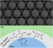 Graphical abstract: Enhanced reactivity at the oil–water interface accelerates the synthesis of zymonic acid in microemulsions