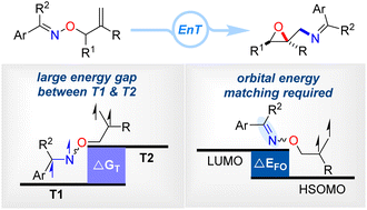 Graphical abstract: Photosensitized diradical rearrangement of alkenyl oxime ethers towards amino-featured oxiranes: reaction, mechanism, and structural prediction