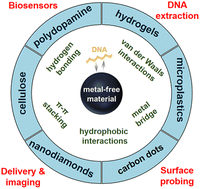 Graphical abstract: DNA attachment to polymeric, soft and quantum materials: mechanisms and applications