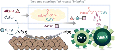 Graphical abstract: A nickel-catalysed radical mechanism by three-component dimensionality reduction strategies: a theoretical study