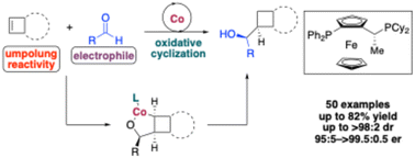 Graphical abstract: Cobalt-catalyzed diastereo- and enantioselective reductive coupling of cyclobutenes and aldehydes through umpolung reactivity