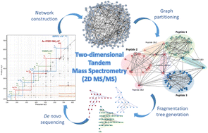 Graphical abstract: Framework for de novo sequencing of peptide mixtures via network analysis and two-dimensional tandem mass spectrometry
