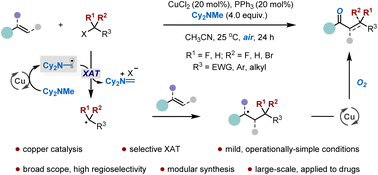 Graphical abstract: Copper-catalysed oxy-alkylation of styrenes enabled by halogen-atom transfer