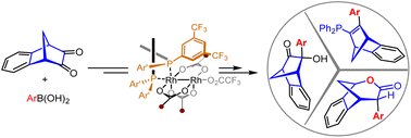 Graphical abstract: Chiral benzo[2.2.1] α-hydroxyketones from a dirhodium(ii)/bisphosphine-catalyzed desymmetrization addition reaction