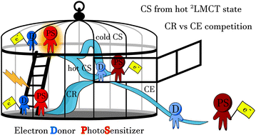 Graphical abstract: Captivating bimolecular photoredox dynamics of a ligand-to-metal charge transfer complex