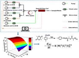 Graphical abstract: Multidimensional kinetic study on the organocatalyzed ring-opening polymerization (ROP) of l-lactide via a robotic high-throughput flow platform
