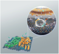 Graphical abstract: Bacteria-driven bio-electroactive sterilization