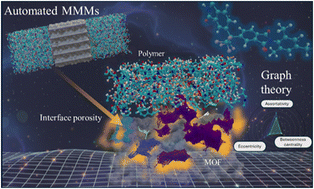 Graphical abstract: MOF surface morphology governs interfacial pore architecture and CO2 dynamics in mixed matrix membranes