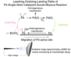 Graphical abstract: Unveiling leaching–oxidizing–landing paths of Pd single-atom catalyzed Suzuki–Miyaura reaction by ambient mass spectrometry