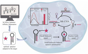Graphical abstract: A structural reorganization-based catalytic hairpin assembly enabling small-molecule monitoring in living cells