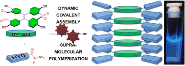 Graphical abstract: Emergence of fluorescent aggregates through hierarchical self-assembly