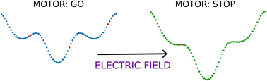 Graphical abstract: Controlling molecular machines via optimally oriented external electric fields