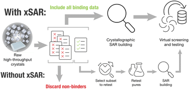 Graphical abstract: Structure–activity relationships can be directly extracted from high-throughput crystallographic evaluation of fragment elaborations in crude reaction mixtures